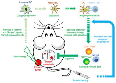 From Photon Beam to Accelerated Particle Beam: Antimetastasis Effect of Combining Radiotherapy With Immunotherapy